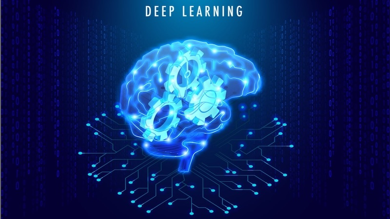 Mô hình Học Sâu (Deep Learning Models)