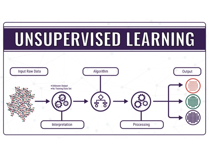 Học không giám sát – chìa khóa để phát hiện các quy luật và xu hướng ẩn trong dữ liệu