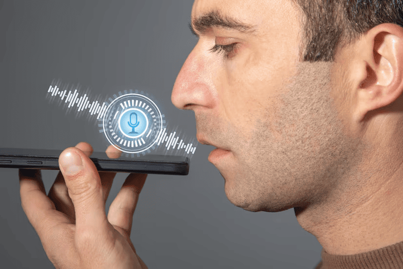 voice biometrics