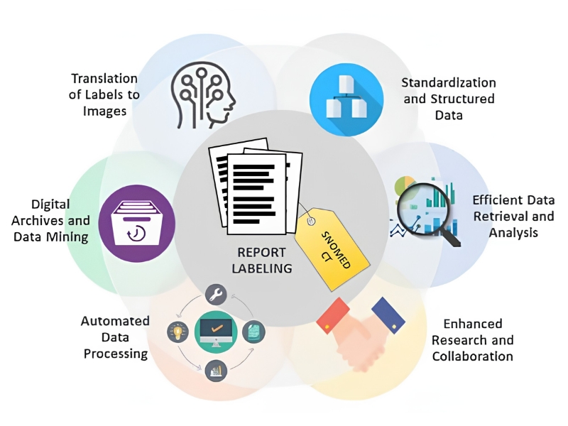 Lợi ích của Data Labeling