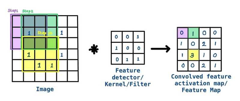 Convolutional neural network (CNN)