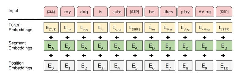 Kỹ thuật Masked Language Modeling (MLM) và Next Sentence Prediction (NSP)