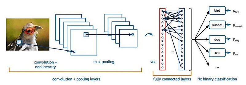 Convolutional neural network cung cấp sức mạnh cho các tác vụ nhận dạng hình ảnh và Computer Vision