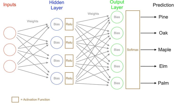 neural network là gì