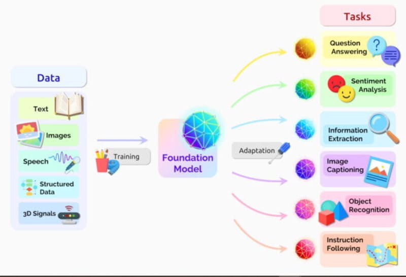 foundation model