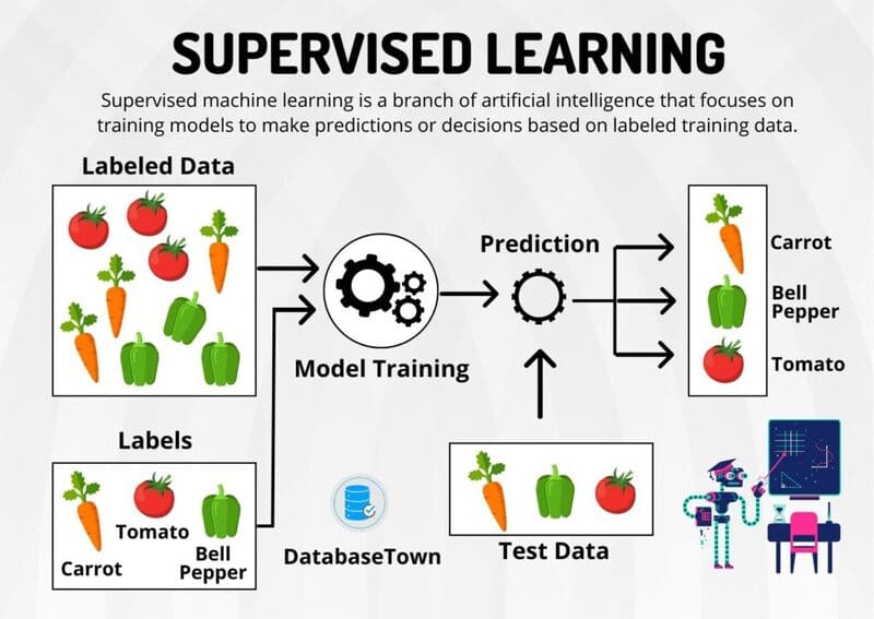 Supervised Learning là một kỹ thuật Machine Learning trong đó mô hình được huấn luyện thông qua tập dữ liệu đã được gán nhãn