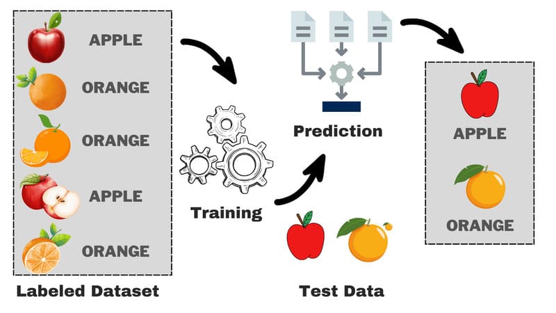 Cơ chế hoạt động của Supervised Learning