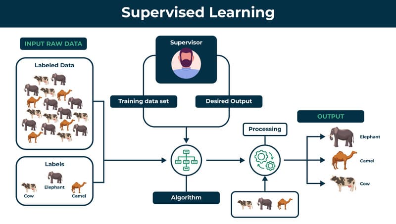 Supervised learning là gì