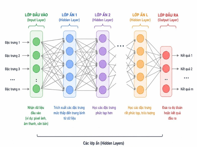 Một mạng Deep Learning được xây dựng từ nhiều lớp khác nhau