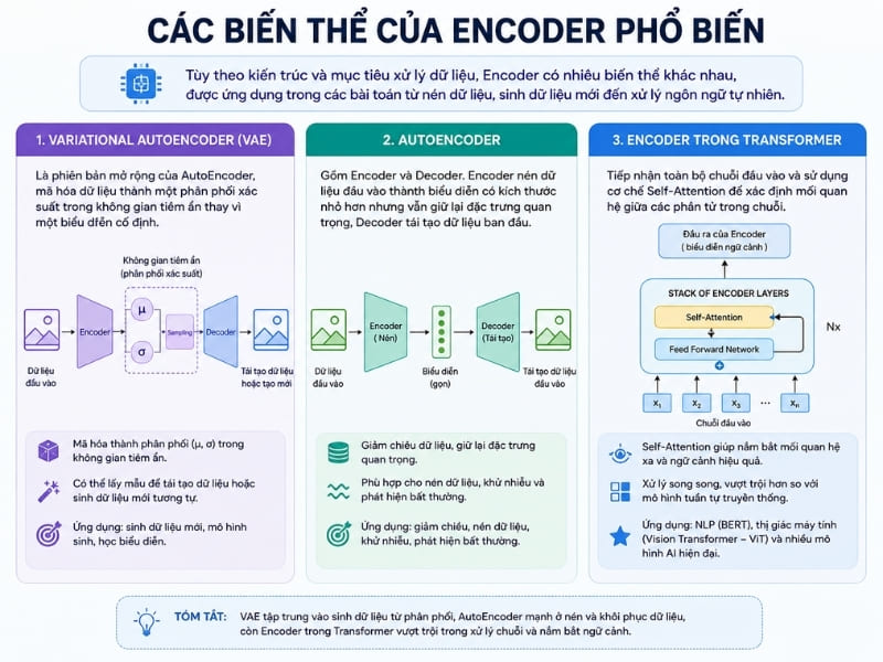 Các biến thể của Encoder