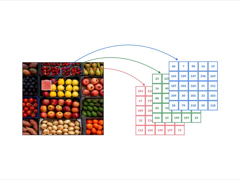 Vector Embedding trong Vector Database