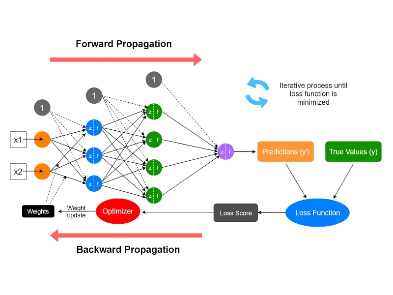 Quy trình huấn luyện Feedforward Neural Network